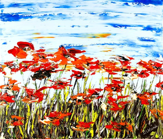 A Meadow Full Of Poppies 3