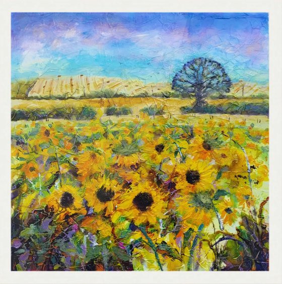 Sunflower Field