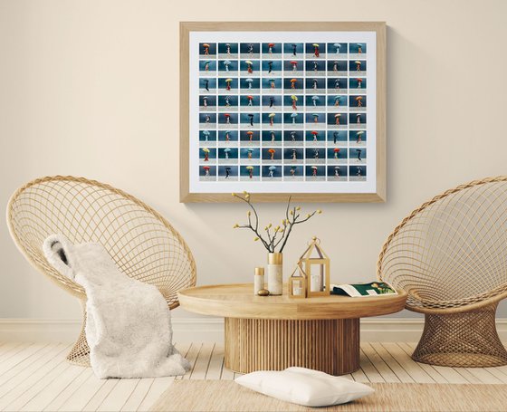 URBAN RAINBOW IX - MARINA DEL REY