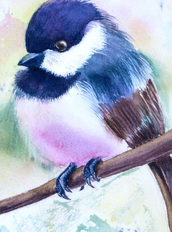 Chickadee