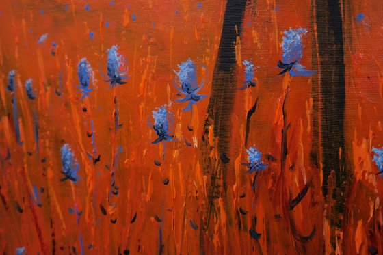 Dream Fields- Fields and Colors Series