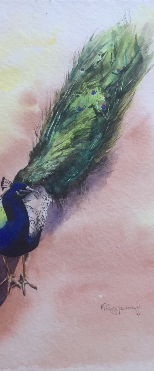 Second peacock by Krystyna Szczepanowski