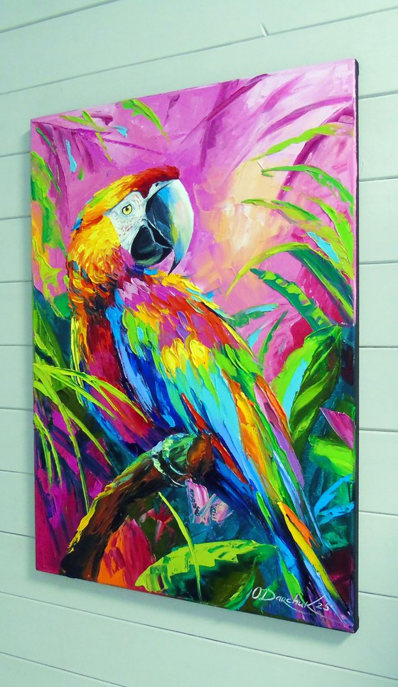 Macaw Parrot