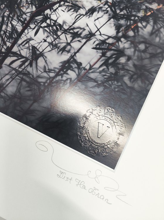 (FRAMED) The power of simplicity II