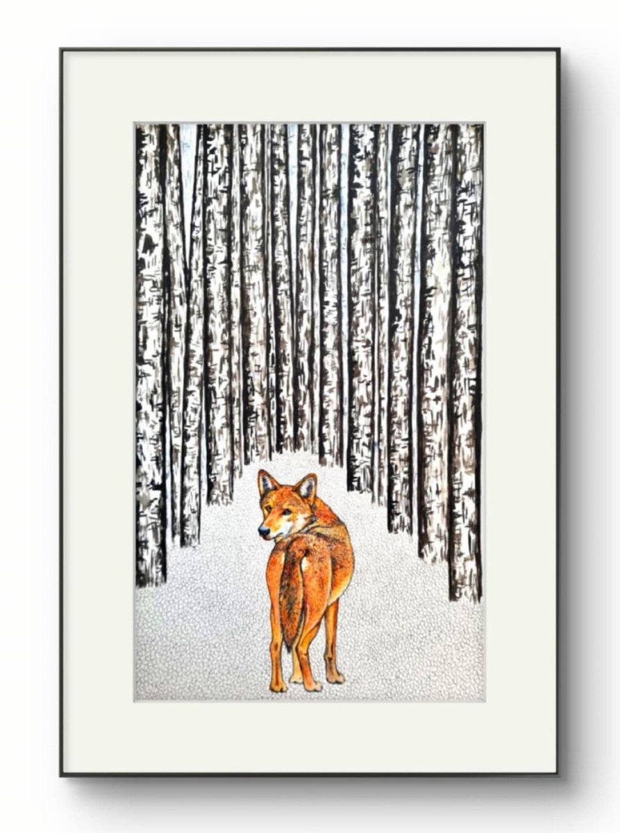 Illustrative Animal Watercolour By Marian Gorin, 12 X 17", I Robbed The Woods Iv, Original Artwork