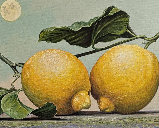Still Life Under the Moon