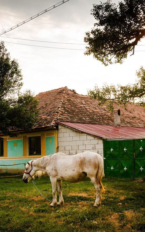 Viscri, Transylvania by Tom Hanslien