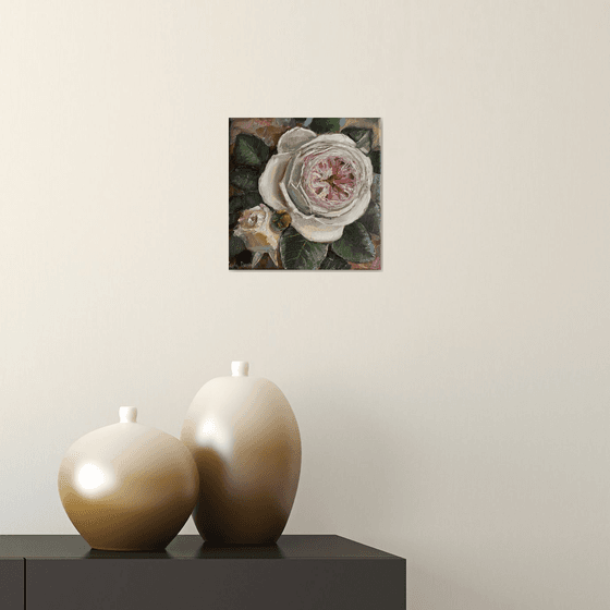Pink roses still life