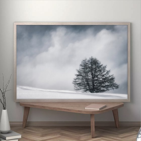 White Italian Scape #9