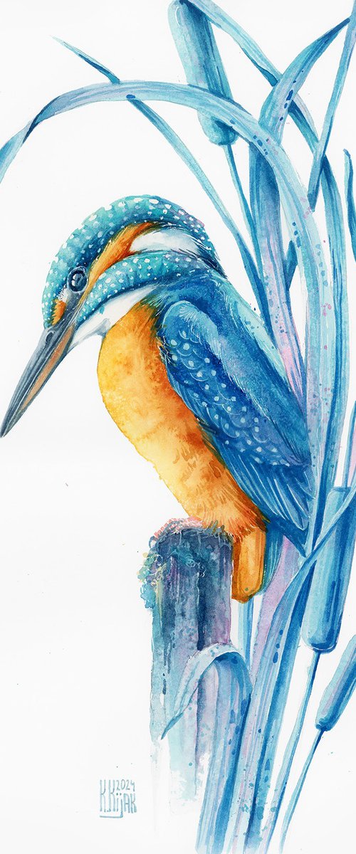 Kingfisher by Karolina Kijak