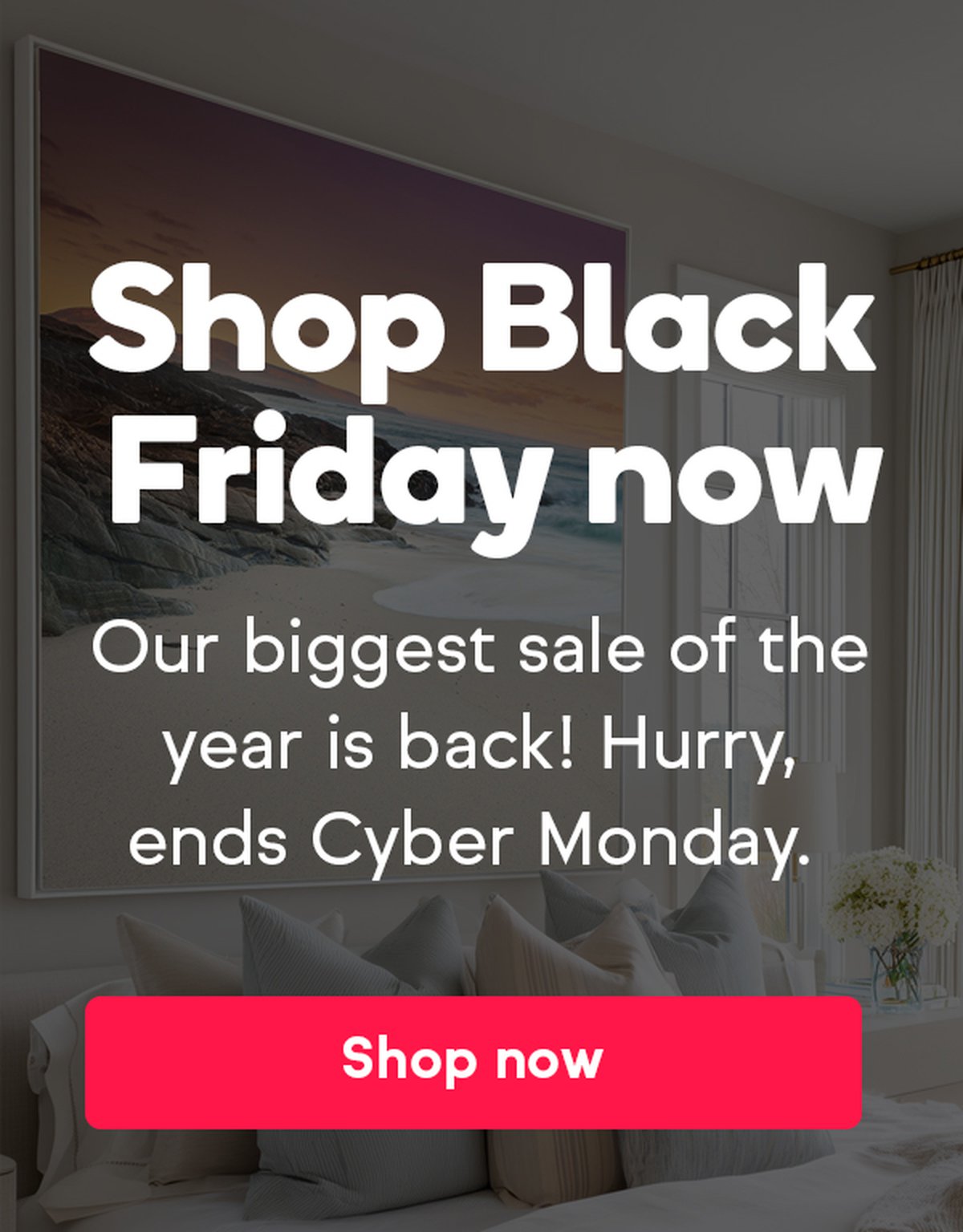Discounts start - Black Friday