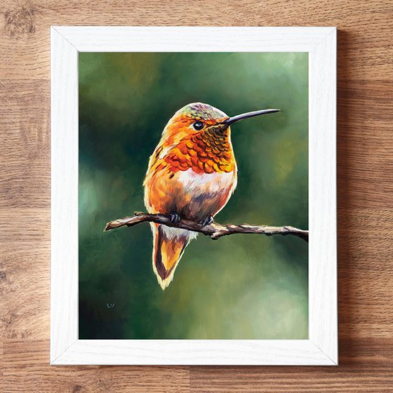 Rufous hummingbird in the wild