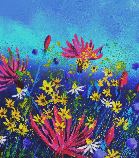 Summer Wild pink flowers flowers -7725