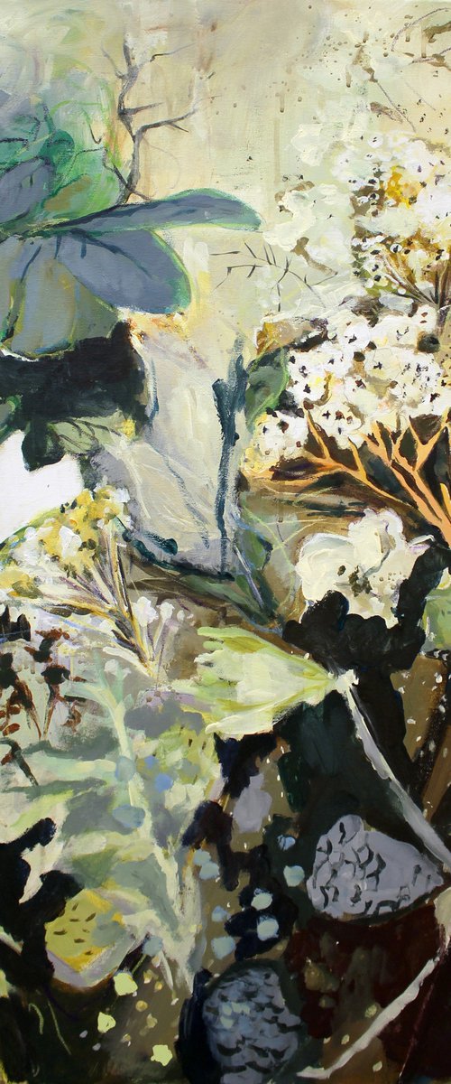 Achillea millefolium by Edina Gulyas
