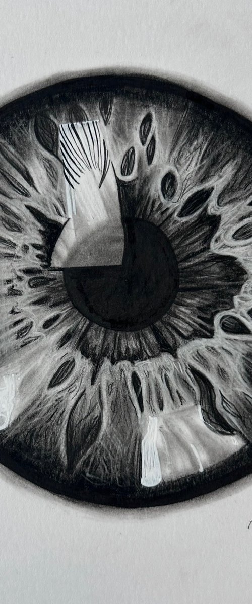 Aperture by Piera Triolo