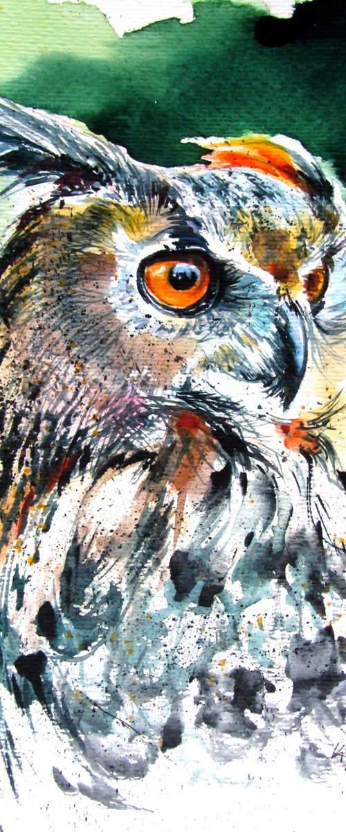 Great horned owl portrait by Kovács Anna Brigitta