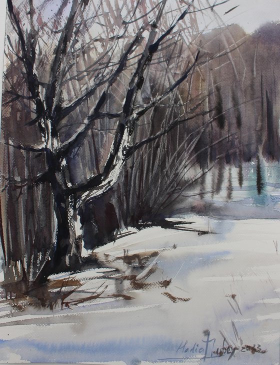 Winter landscape