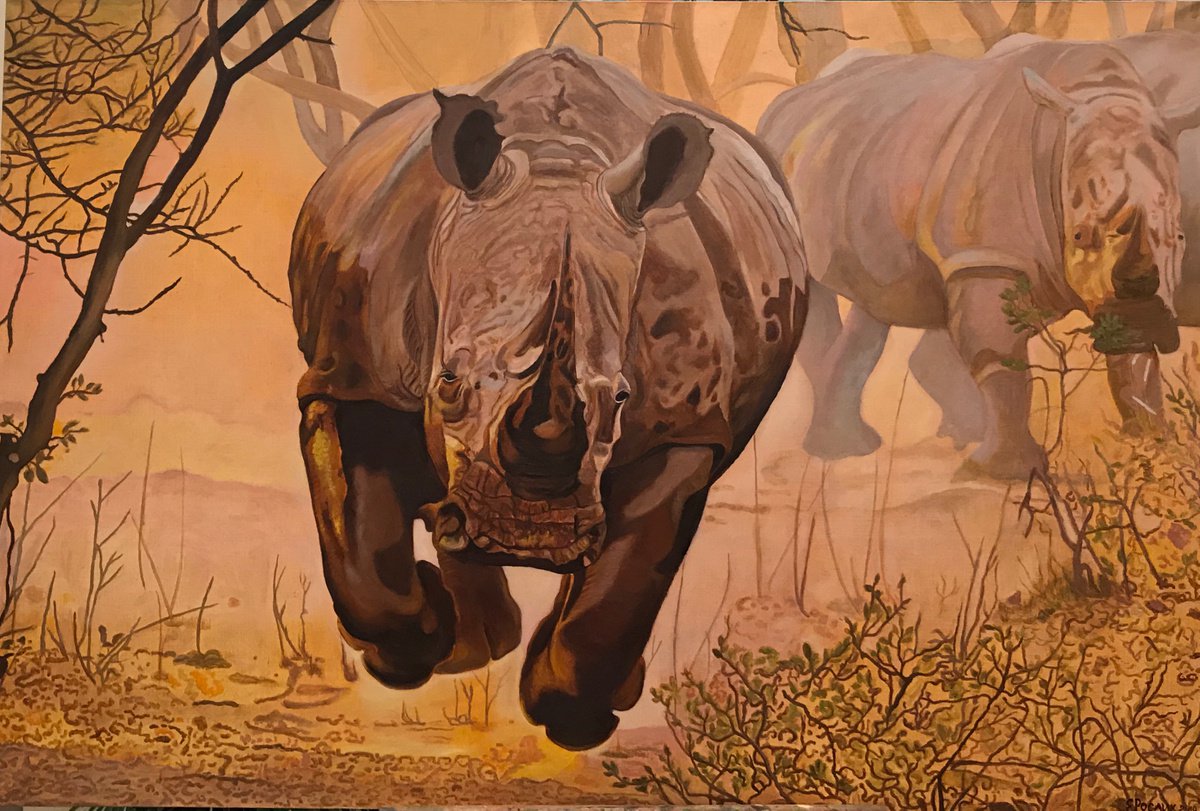 Original oil painting Rhinos - 120x80 cm (2019) by Evgeniya Roslik
