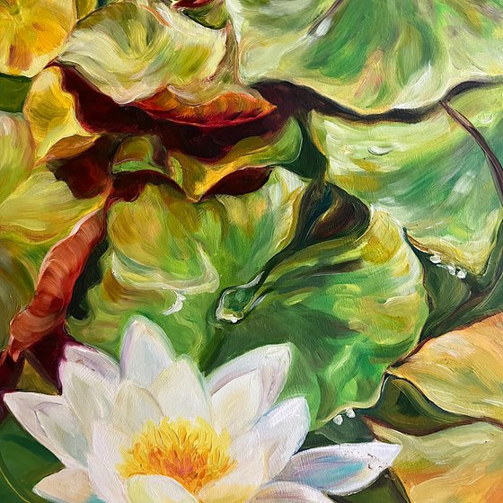 Insights- Waterlily painting