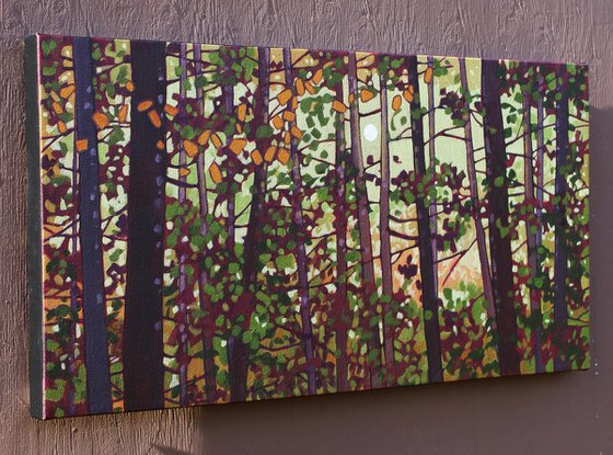 Light Through the Woods