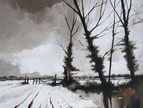 Winter trees by Stuart Roy