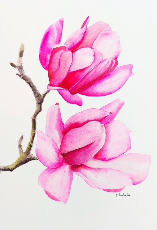 Magnolia by Francesca Licchelli