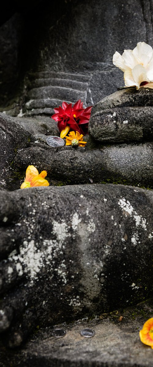 Offerings To Lakshmi II by Tom Hanslien