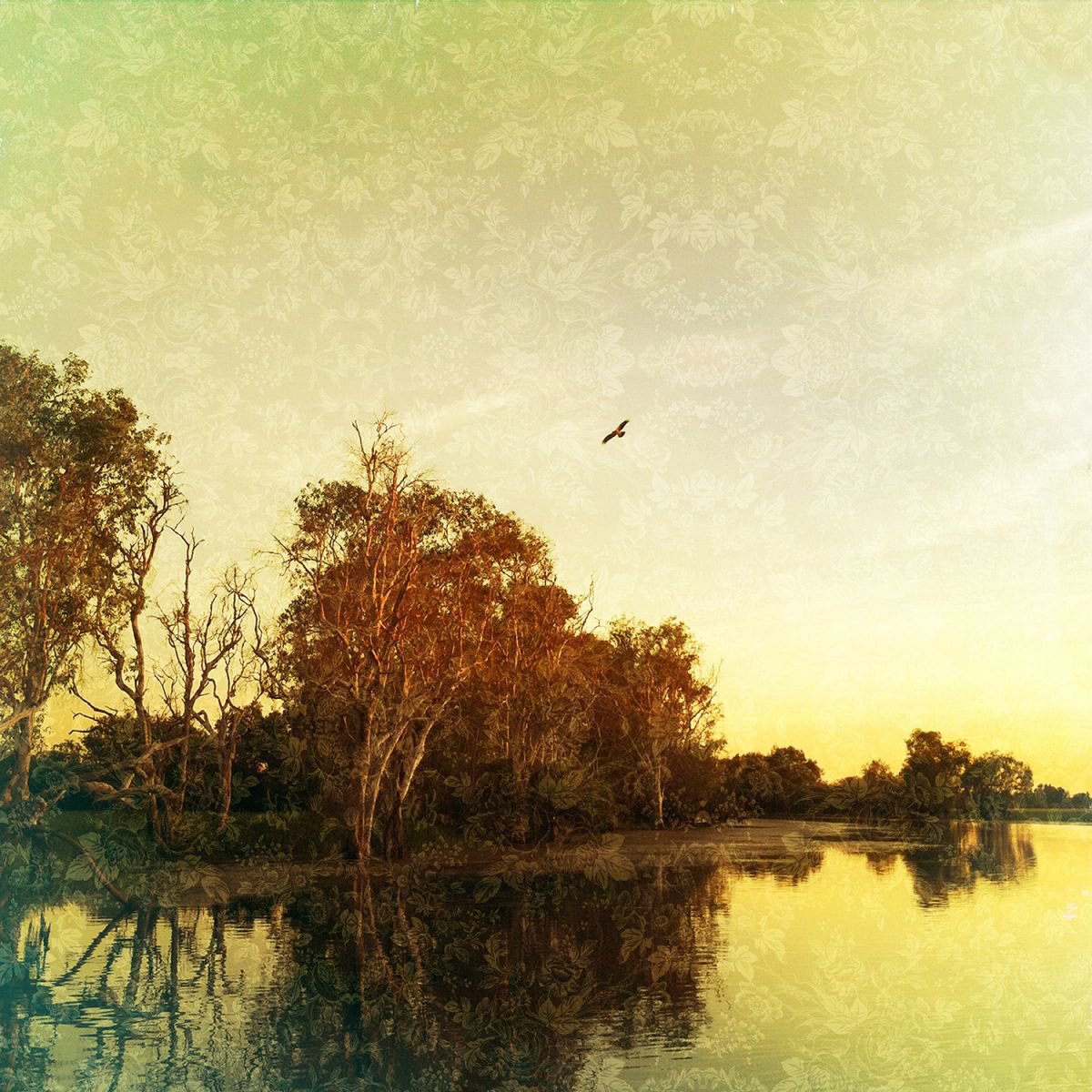 yellow water sunrise by Jennifer Bell