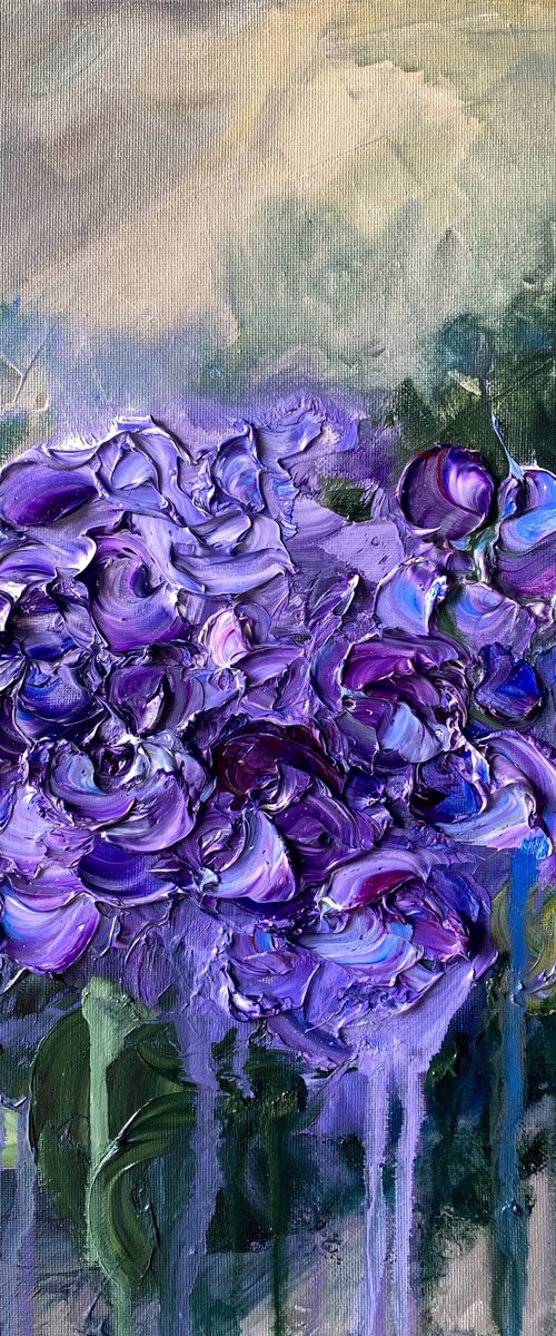 Hydrangea Study — Purple Bloom by Mily Art