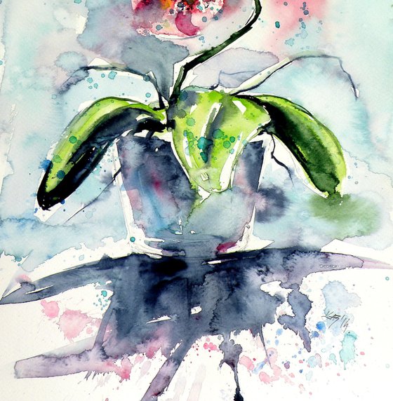 Orchid still life II