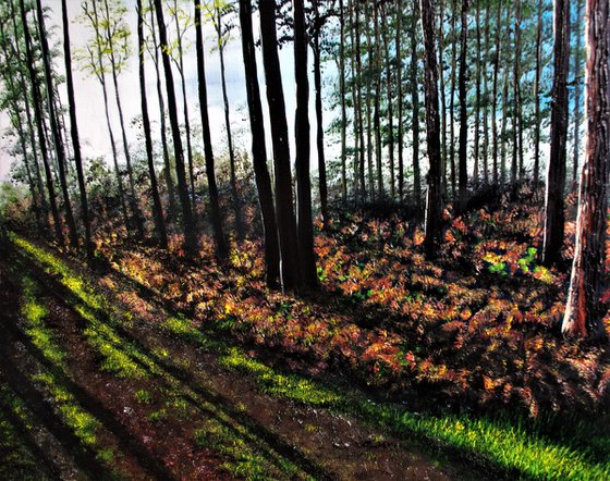 Late Afternoon shadows. 100cm X 150cm