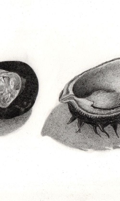 CHESTNUT by Nives Palmić