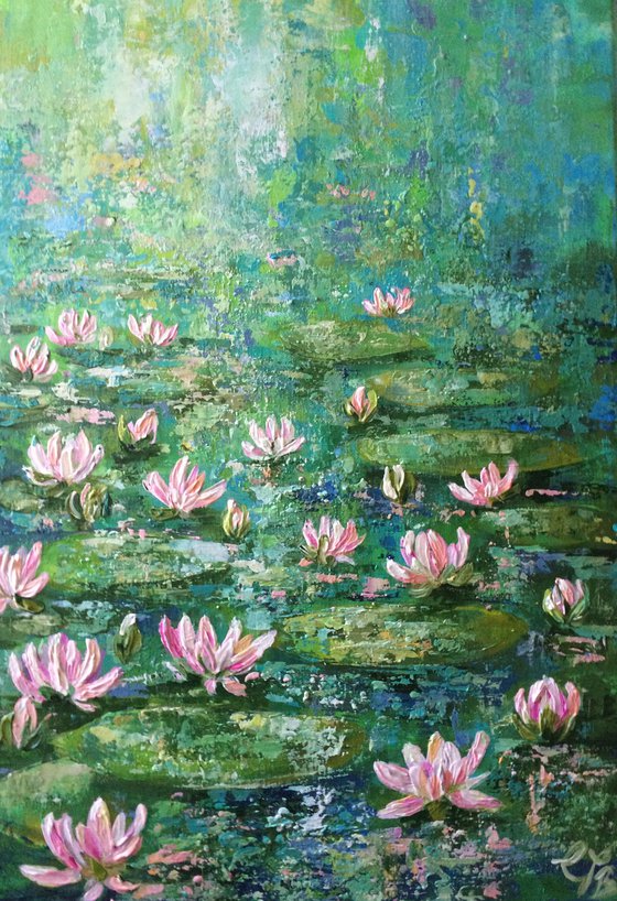 Waterlilies in the Rain