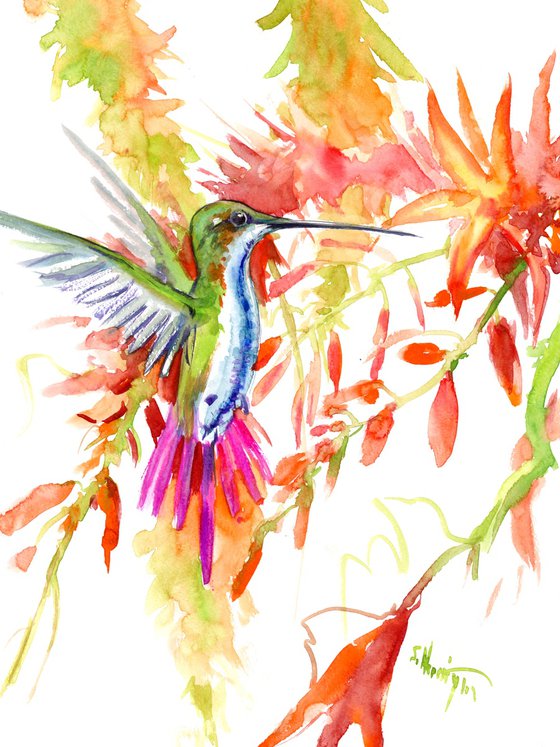 Hummingbird