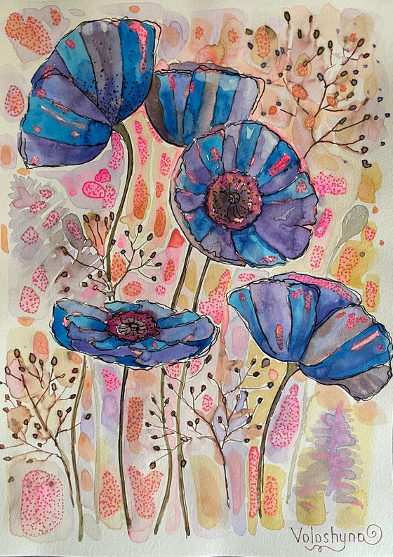 Colourful poppies