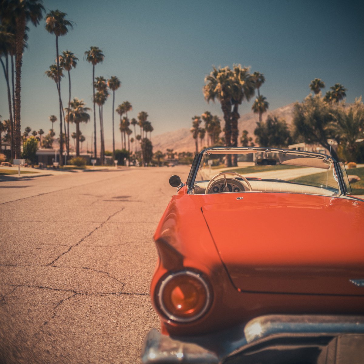 Transport Photograph By Jens Ochlich, 11 X 17, Desert Alley, Original Artwork