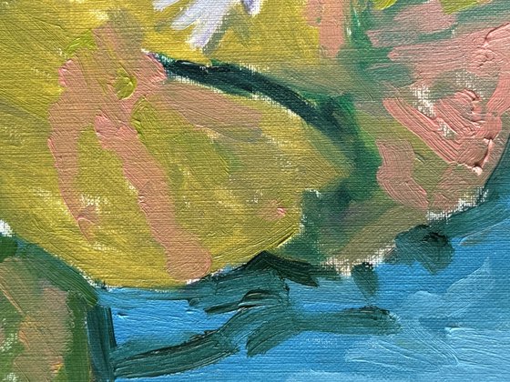 Water lily
