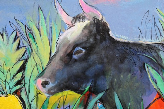 Cows Looking for Pineapples