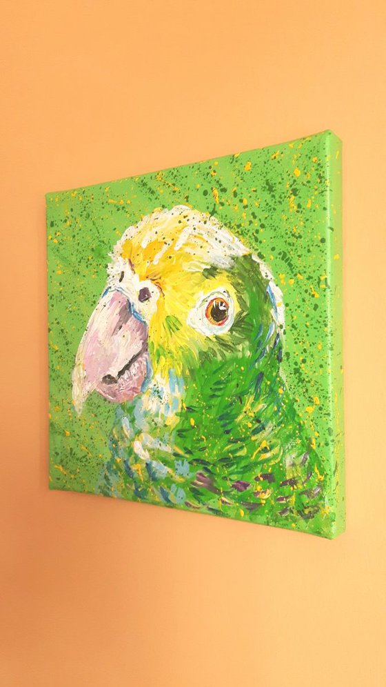 "Amazon parrot "