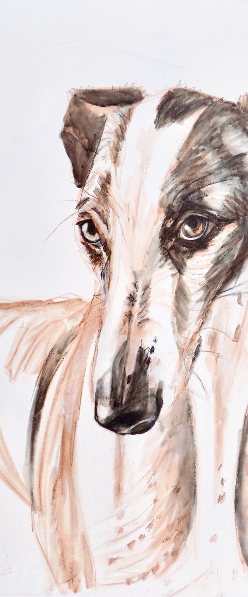 Greyhound Study by Victoria Coleman