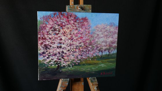 Blooming Cherry - original sunny landscape, painting