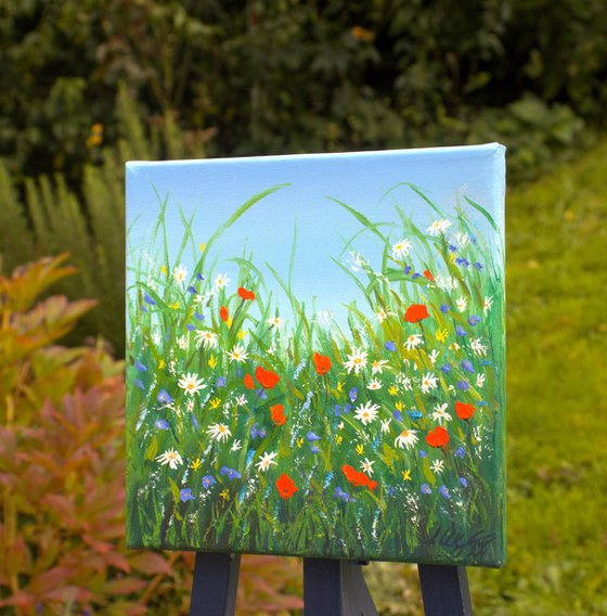 Small wildflowers field