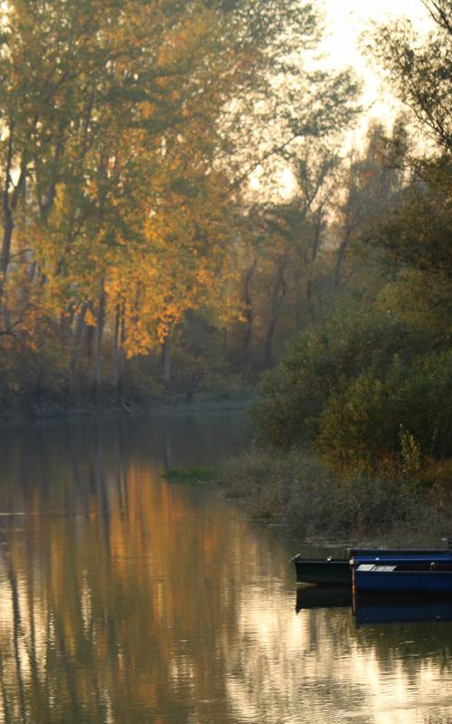 Autumn on the river by Sonja  Čvorović