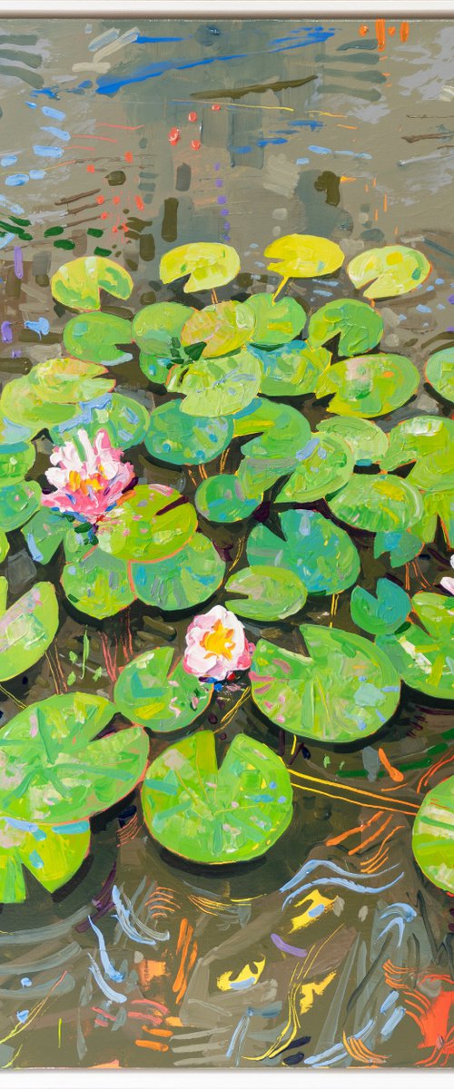 Tasman Lily Pond 46 by Joseph Villanueva