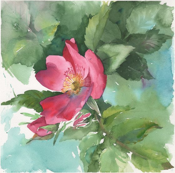 Flowers painting watercolor