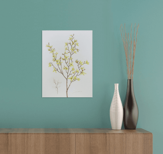 "Forsythia"