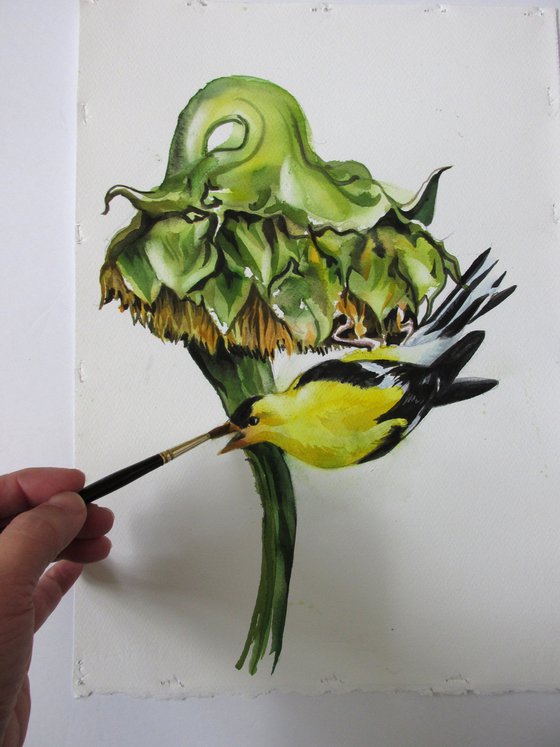 gold finch with sunflower