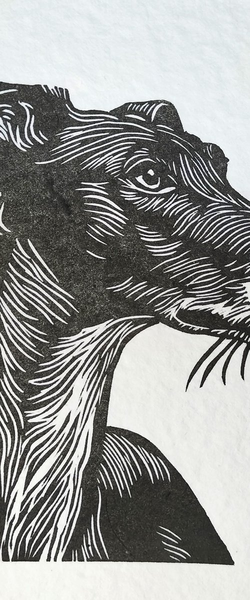 Lurch Sideways Small Linocut by TARA SLATER