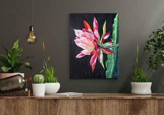 Cacti flower on black background
