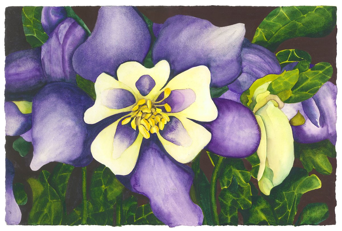 Surrealistic Botanical Watercolour By Mary Lyn Gough, 15 X 22", Bella Dreams, Original Artwork